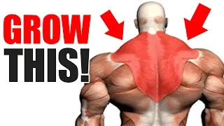 3 Best Exercises for BIG TRAPS!