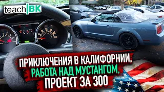 Как мы строили Форд Мустанг в США / Приключения в Америке