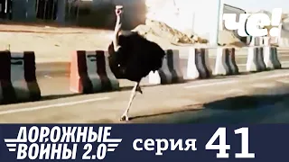 Дорожные войны | Сезон 9 | Выпуск 41