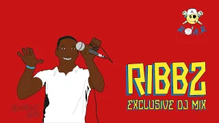 ROAR EXCLUSIVE: Ribbz DJ Mix!