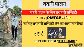 बकरी पालन के लिए सब्सिडी कैसे प्राप्त करे (PMEGP स्कीम) / Subsidy for Goat Farming (PMEGP Scheme)