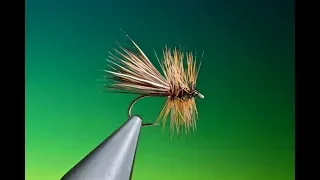 Tying a Elk & Hackle caddis/sedge with Barry Ord Clarke