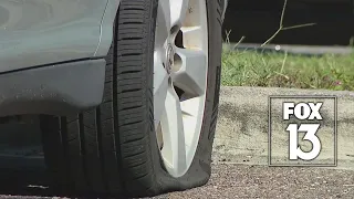 More than 20 vehicles vandalized, tires slashed in North Tampa