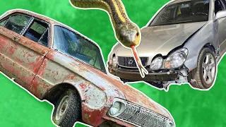 The Lexus GS400, Falcon frame swap are coming together... and MORE SNAKES!