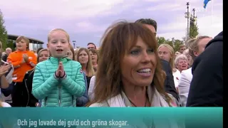 Guld och gröna skogar - Allsång på Skansen 2019