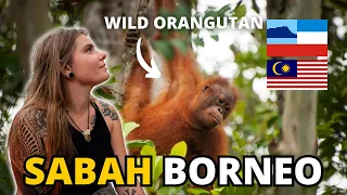 Seeing WILD ORANGUTANS for First Time in Borneo, Malaysia!