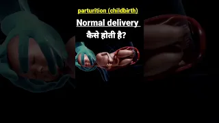 Child Birth (Parturition) #shorts