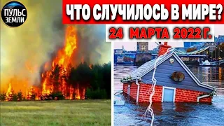 Катаклизмы за день 24 МАРТА 2022! Пульс Земли! #flooding #снегопад катаклизмы сегодня наводнение