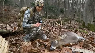 * MOUNTAIN BUCK DOWN * Public Land Deer Hunting in Pennsylvania