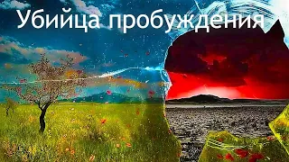 Пробуждение. То что убивает пробуждение. Дерево несущее смерть .