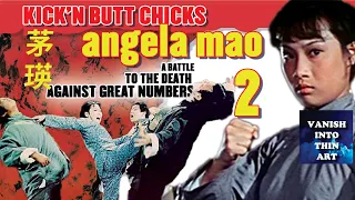 Kick'n Butt Chicks - Angela Mao When Taekwando Strikes... Continued 1973 (6 min)