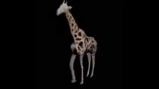 Butt Naked Nasty Giraffe! (Vine)