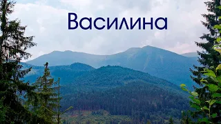 Наша відповідь Чемберлену. Пісня "Василина".