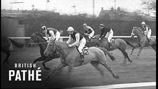 Grand National (1964)