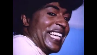 Little Richard - Good Golly, Miss Molly (Toronto Rock & Roll Revival 1969)