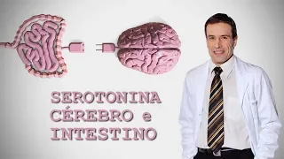 Serotonina, cérebro e intestino | Matéria - Hoje em dia