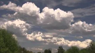 Beautiful Natural Clouds Pass Over Trees Realtime Wide View (4min) V10068