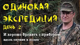 Владимирcкие леса, одиночная экспедиция, день 2!