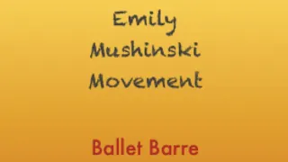 Ballet Barre (30 mins)