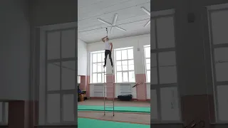 Man Attempts Incredible Trick on Top of Free Standing Ladder - 1283722