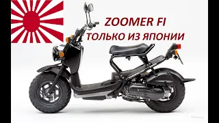 Покупка Honda Zoomer только из Японии!