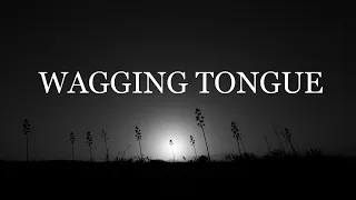 Depeche Mode - Wagging Tongue HD