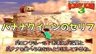 【スーパードンキーコング3】バナナクイーンセリフ集＆リンクリーのほら穴にバナナバードが増えていく様子など他いろいろまとめ【SFC】