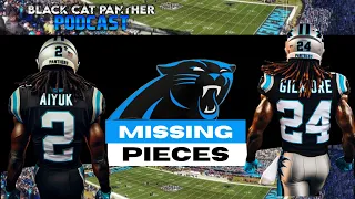 Carolina Panthers missing links?