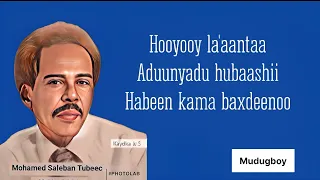 Hooyooy la'aantaa | Hees Qaaraami Maxamed Suleebaan Tubeec