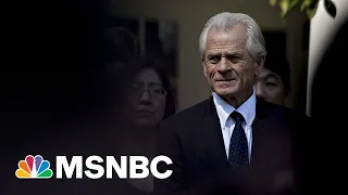 Peter Navarro 'Doesn't Have Executive Privilege Claim' Says Legal Expert