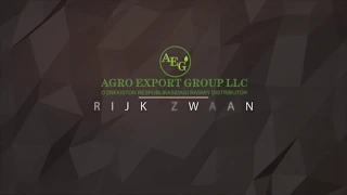 AGRO EXPORT GROUP RIJK ZWAAN CHINTO F1