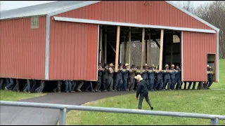 Amish Shed Move