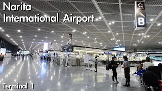 Walking in Narita International Airport | Terminal1| Walk in the Airport