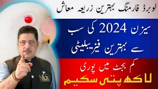 Best Feasibility of Lovebirds Season 2024 in Urdu/Hindi | Blue2 Ino