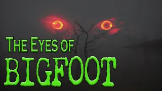 The Evil Eyes of Bigfoot