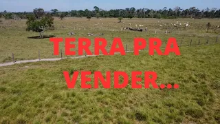 Fazenda) Terra de 14 alqueires pra vender. A 28 km de São Félix do xingu Pará. toda formada e plana.
