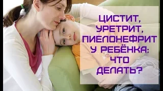 Инфекции мочеполовой системы у ребёнка: ЦИСТИТ, ПИЕЛОНЕФРИТ: что делать?