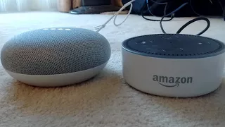 Google Home Mini and Amazon Echo Dot infinite loop