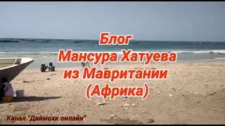 Живет чеченец в Африке. Блог Мансура Хатуева (Мавритания).