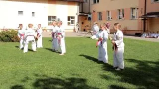 Josui Karate performance at the Saulkalne community Sports event. Latvia, 24 May 2013