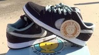 SPoT x Nike SB "20th Anniversary" Dunk Low Review