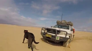 Stockton Beach - Hilux has issues