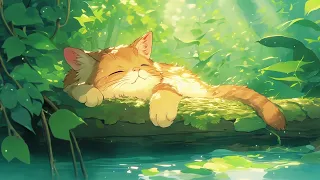 Cat Sunny Day ☀️🐱🌿 Lofi Music ~ Stress Relief, Relaxing Music