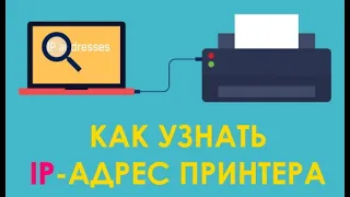 Как узнать сетевой IP адрес своего принтера в Windows