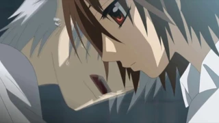 Nightcore - Vampire Knight - Aoki Tsuki Michite