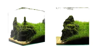 Aquascaping THE CLIFF    *update*