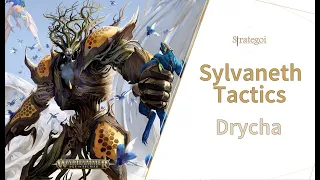 SYLVANETH TACTICS: Drycha in-depth guide