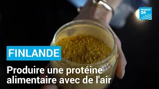 En Finlande, des "agriculteurs du futur" créent une protéine alimentaire avec de l'air