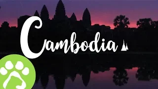 The Green Lion Cambodia - Promo Video