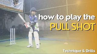 How to play the PULL SHOT - Pull Shot tutorial and drills | Cricket batting coaching | Stallions